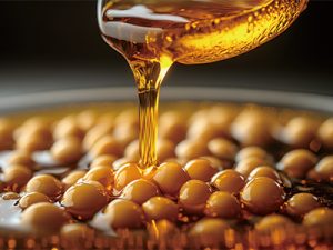 金龍魚客戶案例 金龍魚客戶案例