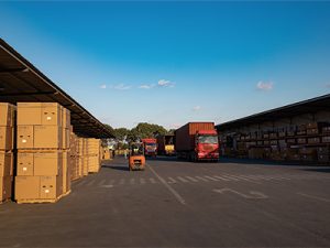 云倉服務(wù)怎么幫電商省成本