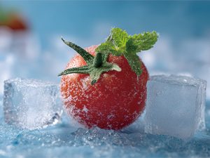 冷鏈云倉(cāng) 解鎖新鮮供應(yīng)鏈的秘密