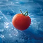 冷鏈倉(cāng)儲(chǔ)如何解決生鮮痛點(diǎn)