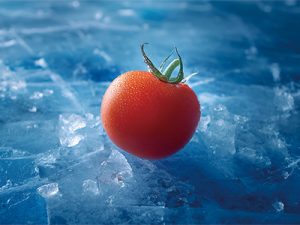 冷鏈倉儲(chǔ)如何解決生鮮痛點(diǎn)