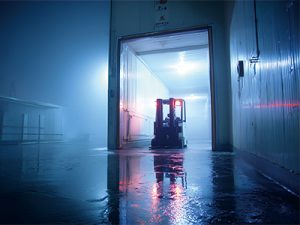 冷鏈云倉(cāng)倉(cāng)配一體